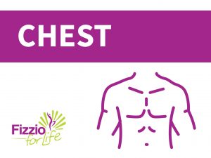 Fizzio-Your-body-chest