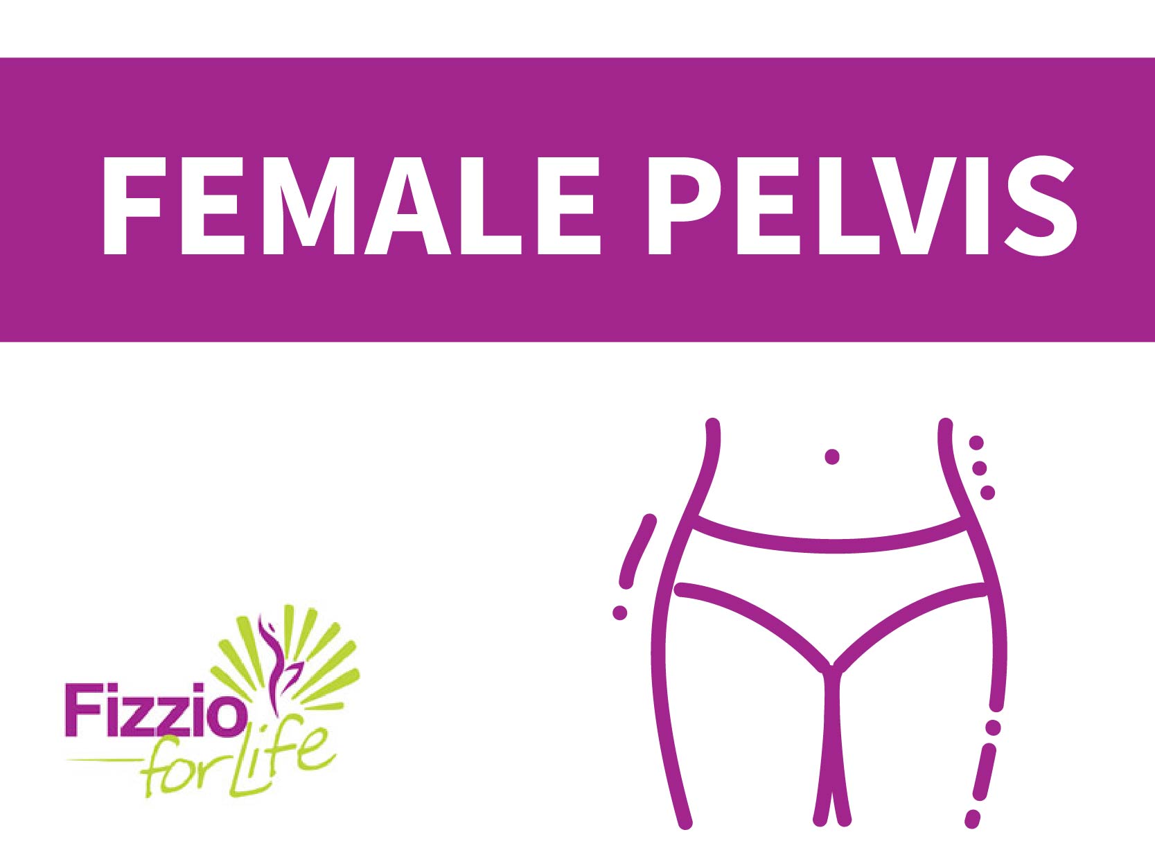 Fizzio-Your-body-female-pelvis