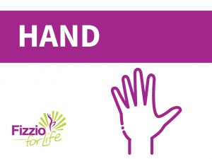 Fizzio-Your-body-hand