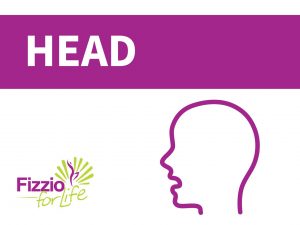 Fizzio-Your-body-head
